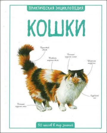 К. Бедуайер. Кошки. Практическая энциклопедия